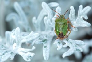 入院の定義とはどのようなものですか？