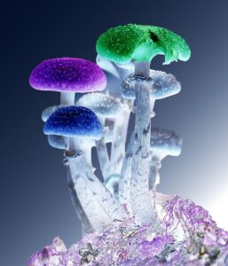 抗がん剤治療の回数と費用について知っておくべきことは？